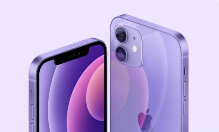 黄平苹果手机维修分享紫色版iPhone 12有什么技术亮点 